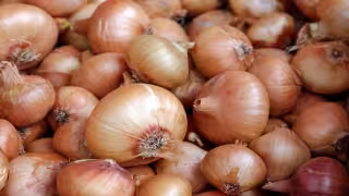 Cebollas de México podrían causar brote de salmonelosis en Estados Unidos