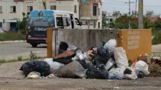 Zona hotelera y Centro de Cancún, entre los puntos que más basura generan