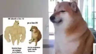 El perrito de los memes en internet. Foto: Especial