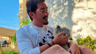 Algunos especialistas señalan que en las grandes ciudades domina la preferencia por una mascota antes que por tener un hijo