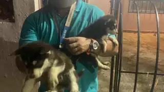 El hombre fue detenido por portarse manera violenta