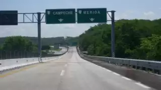 La abuelita resultó ilesa, ya que quedó en la valla metálica del puente