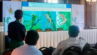 De esta manera, se tienen localizadas áreas de reproducción permanente, que están en condiciones de monitoreo constante