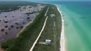 Dos empresas diferentes realizaron Manifiestos de Impacto Ambiental (MIA), pero los textos son prácticamente los mismos