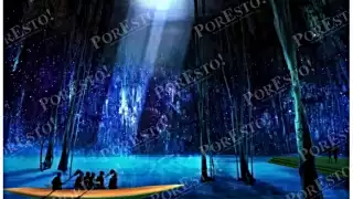 Grupo Xcaret minimizó daño a cenotes en Manifestación de Impacto Ambiental en Parque Xibalbá