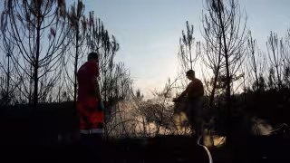 Incendio en Francia golpea al turismo de Burdeos: cancelaciones y pérdidas millonarias en Gironda