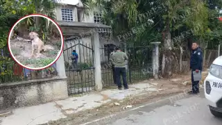 Hombre le da machetazo a una perrita en Escárcega