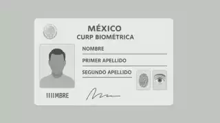   CURP biométrica en Yucatán: ¿Cuándo y dónde se puede tramitar?  