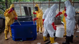 Cártel de Sinaloa extiende producción de metanfetamina a África; laboratorio podía fabricar 5 toneladas al mes