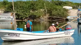 Captura de pulpo en Chabihau se ve afecta por 'recalón' en las aguas