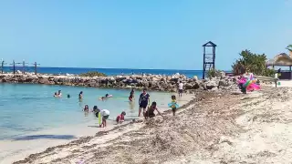 Este rubro ha logrado un incremento de hasta el 25%