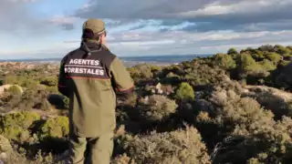 Los guardas forestales están comprometidos con el cuidado de los bosques, áreas protegidas y parques nacionales