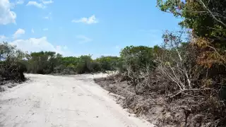 Al empresario local, la Secretaría de Medio Ambiente y Recursos Naturales ya le rechazó dos proyectos inmobiliarios en el litoral Poniente