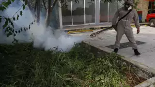 El informe reveló que, hasta el momento, se han notificado 40 casos de dengue común o “no grave”