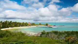 Isla Contoy, Quintana Roo, cumplirá 63 años como Reserva Natural