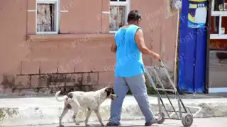 Investigados por zoofilia en Campeche podrían entrar a prisión