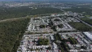 En 10 años, Mérida perdió cerca de mil hectáreas
