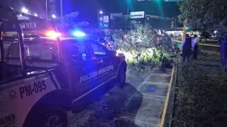Fuertes vientos derriban árbol y generan afectaciones viales en avenida Boquerón