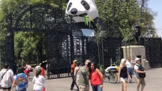 El Zoológico de Chapultepec celebró sus primeros 100 años el pasado 6 de julio