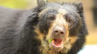 La escena sorprendió a un grupo de panaderas. Foto: Especial