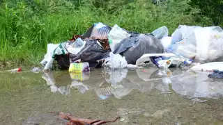 Advirtieron exhibirlos en redes sociales cuando tiren basura y sean captados