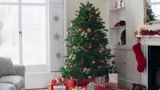 Cada familia decide en qué momento poner su árbol de Navidad