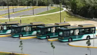 Llegan a Cancún los autobuses eléctricos para el Tren Maya