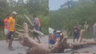 Tensión en Seybaplaya: Pescadores bloquean convoy de la Marina tras decomiso de compresoras