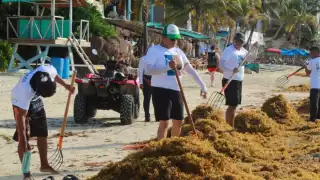 Fueron 20 personas las que participaron en la limpieza de la macroalga