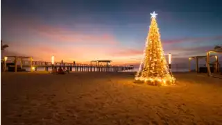 La Riviera Maya, famosa por sus playas de arena blanca y aguas turquesas, se convierte en un destino codiciado durante esta época del año