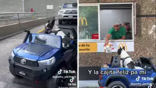 Los empleados de McDonald's aprovecharon para tomarse fotos con el perrito