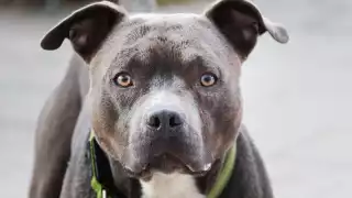 Los hechos ocurrieron en una casa de la colonia Tepeyac