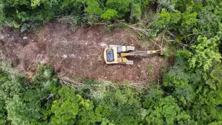 La Semabicce trabaja en delimitar el polígono afectado
