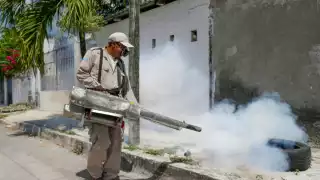 La entidad reporta tan sólo en el municipio de Benito Juárez un total de 491 casos confirmados