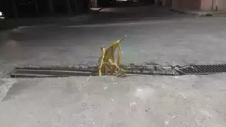 Vehículos se han ido dentro de la alcantarilla; temen daños materiales