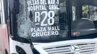 El chofer perdió el control del camión y colisionó fuertemente.