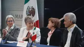 OEA convoca reuniones de emergencia ante crisis diplomática entre Ecuador y México