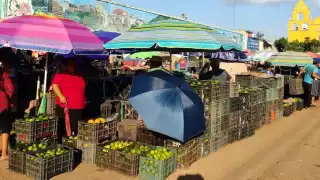 La caja del limón se vende en 250 pesos en el mercado de Oxkutzcab