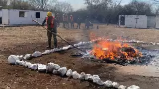 Fueron 15 kilos de drogas incinerados en el 11vo Batallón de Infantería en Mérida
