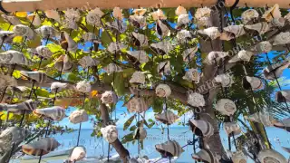 Artesanos de Champotón tienen "esperanza" en Semana Santa para recuperar ventas