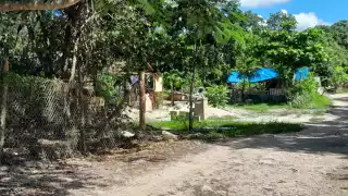 Residentes quieren inhibir la venta de droga o alcohol, así como otros sucesos ilícitos, por lo que buscan ahora conectarse al C2 o al C5.