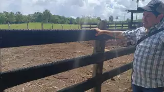 Indicó que entre los beneficios de las rejillas hechas con llantas se encuentran la resistencia, así como el bajo costo