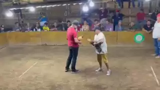 Gallo de pelea ataca a su dueño en pleno palenque