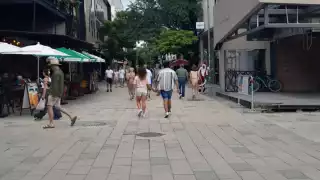 Comerciantes revelan que es algo recurrente que se queden sin servicio de electricidad, lo que afecta sus labores.