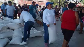 Así lucirían las semillas entregadas en las actividades de campaña de Renán Barrera