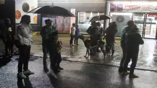 La noche de este martes se registró un sismo de 7.1 grados, a 5 km de Acapulco, Guerrero. Foto: Cuartoscuro