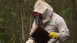 La esperanza por ahora es que los frentes fríos ingresen con lluvias para la Entidad