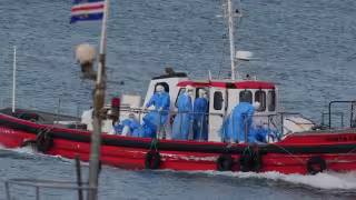 OMS aclara cómo se transmite el hantavirus del crucero “MV Hondius”: “no es un nuevo COVID-19”