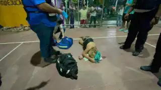 Los agresores se dieron a la fuga