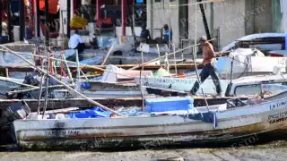 El frío en Campeche impulsa mercado de sierra con hasta 800 toneladas en diciembre